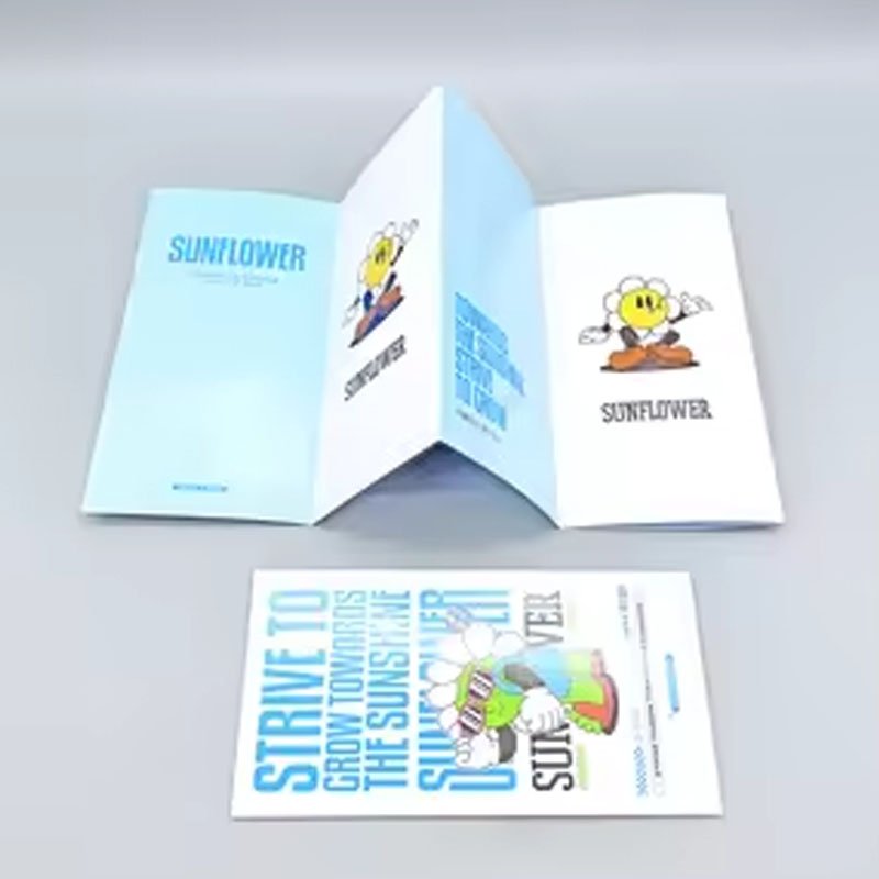 FLYER 1 FLYER 1